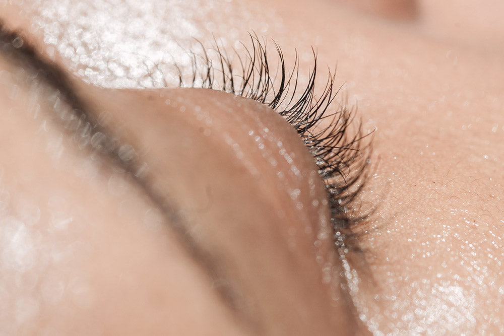 Lash Extension 101: Eyelash Structure And Eyelash Growth Cycle