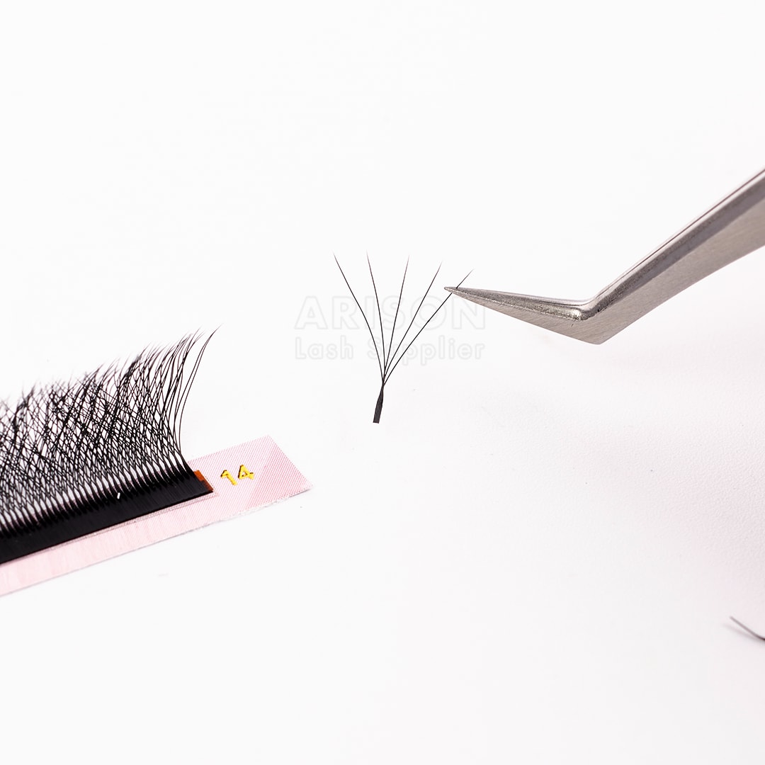 W Lashes - 5D, 0.07mm