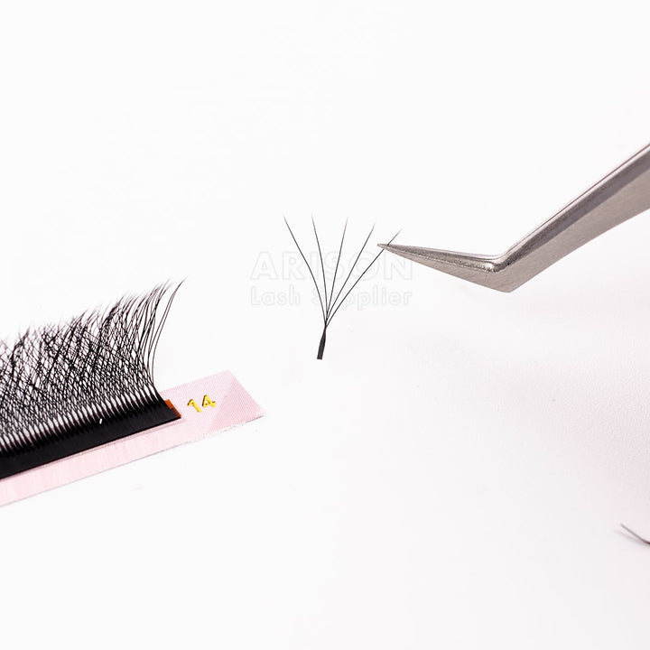 W Lashes - 5D, 0.07mm
